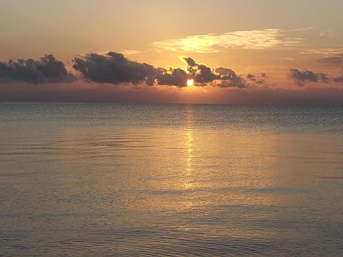 Pal'S On The Beach - Dangriga, Belize Εξωτερικό φωτογραφία