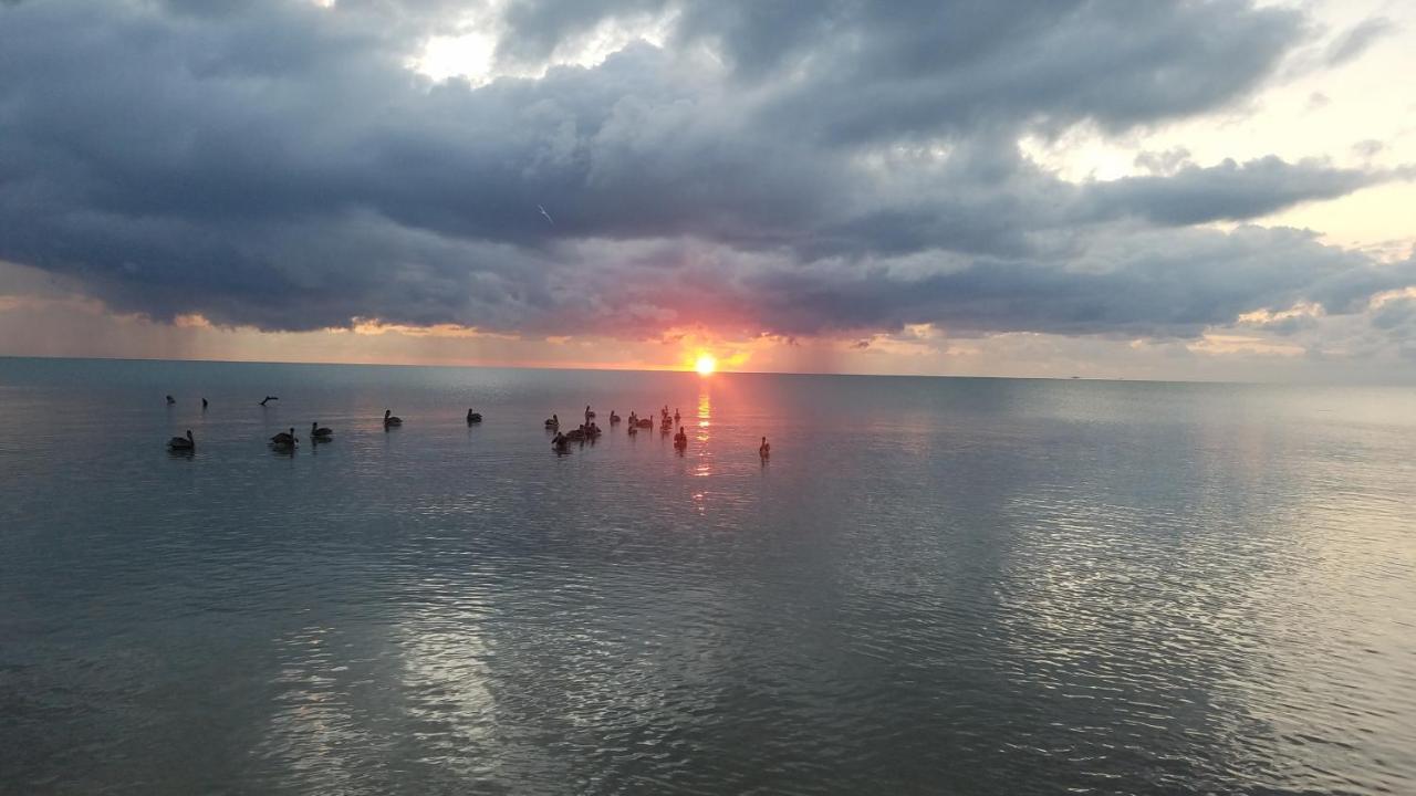 Pal'S On The Beach - Dangriga, Belize Εξωτερικό φωτογραφία