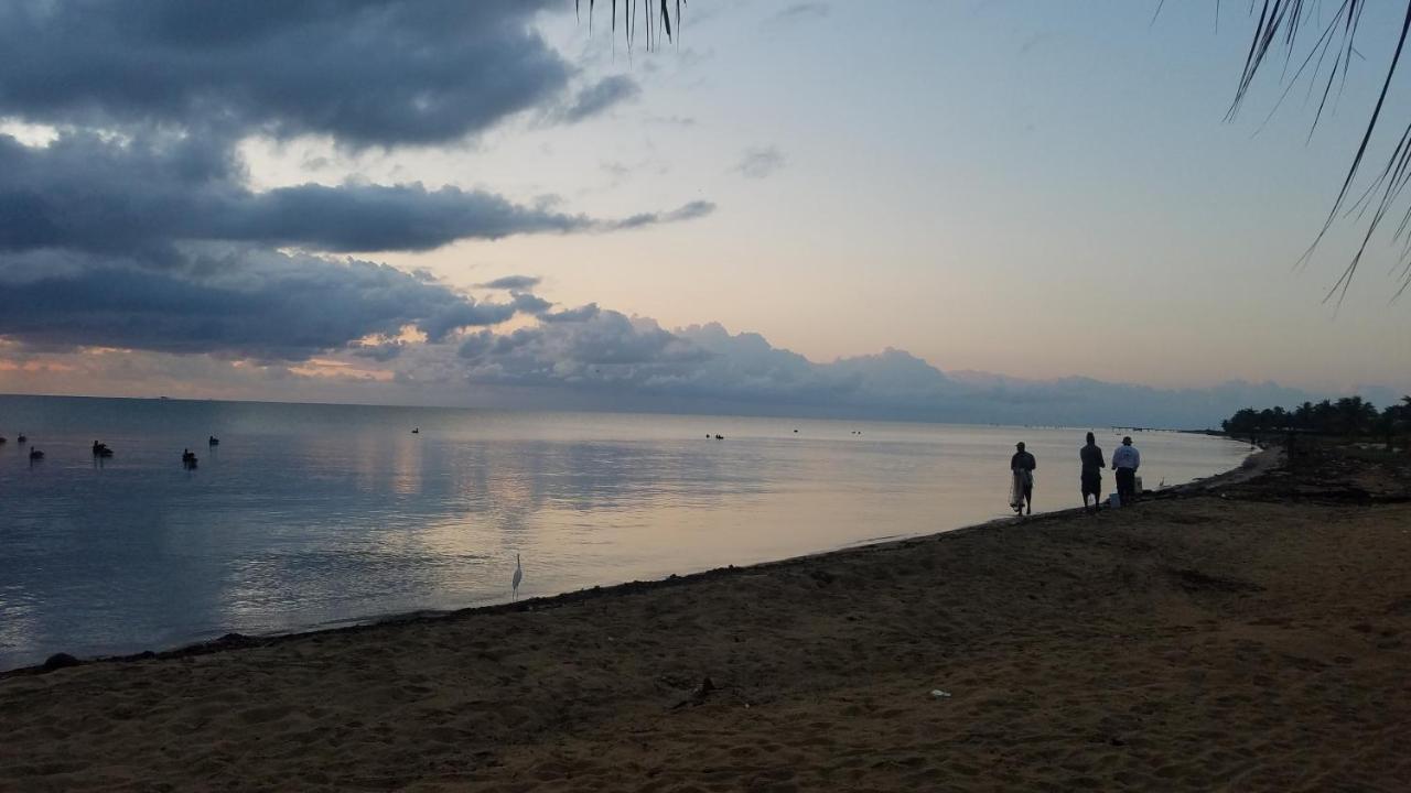 Pal'S On The Beach - Dangriga, Belize Εξωτερικό φωτογραφία